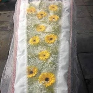 Necropsia/Tanatopraxia/4x1